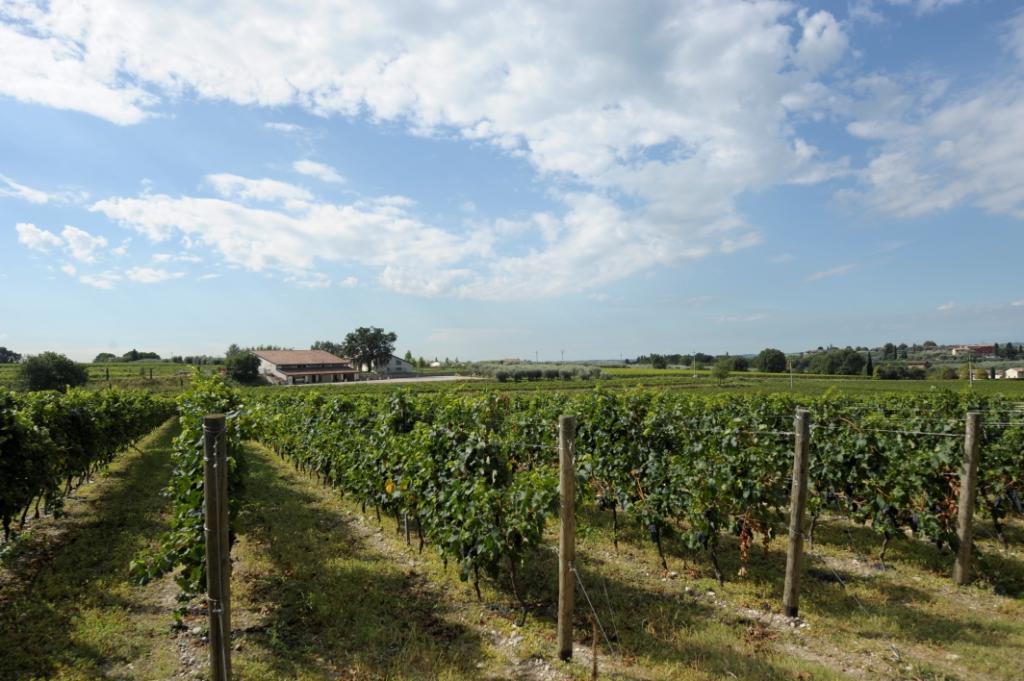 Tenuta La Cà Bardolino Exterior foto