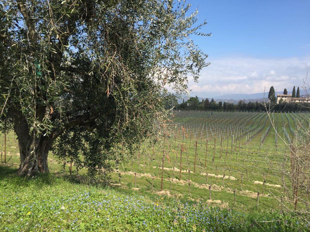 Tenuta La Cà Bardolino Exterior foto